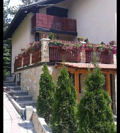 Apartment Niva Zlatibor Bagian luar foto